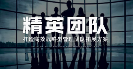 打造高效战略型团队