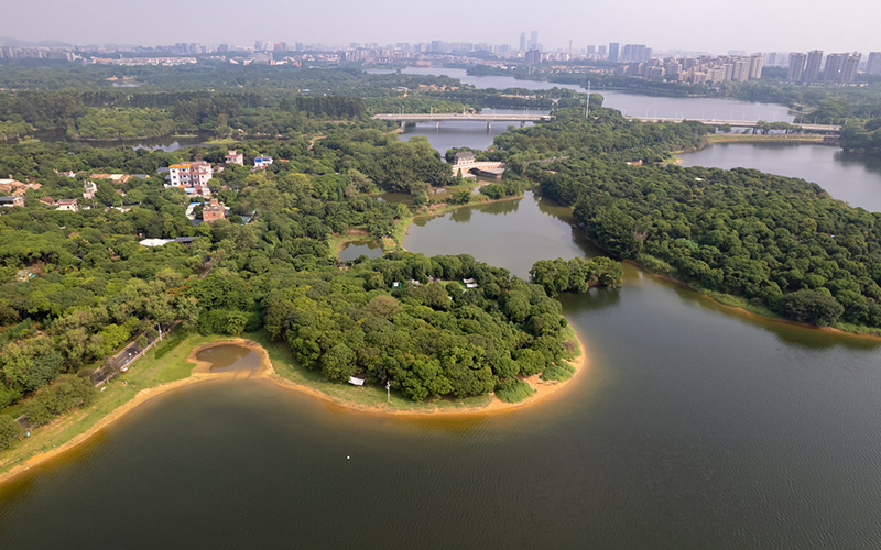嗨皮团建-松山湖营地-幸福岛