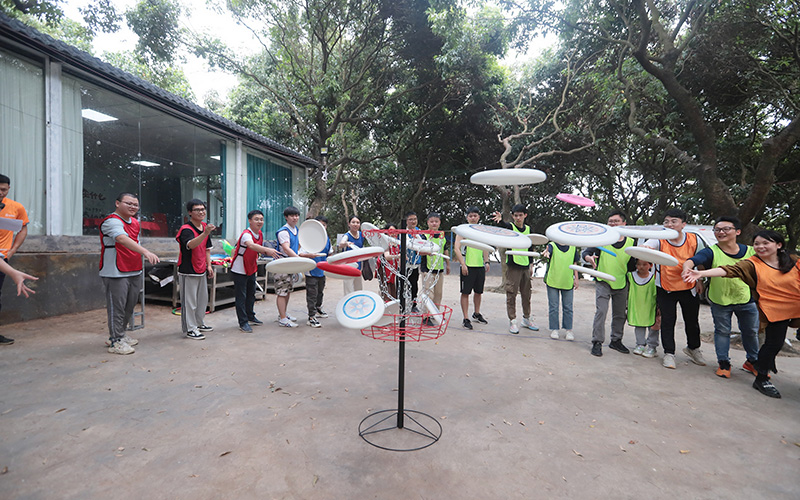 飞盘团建
